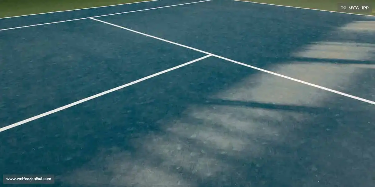 华人策略菠菜论坛celue——健康生活，从运动开始❤️